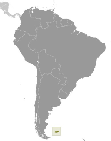 Falkland Islands (Islas Malvinas) Locator Map