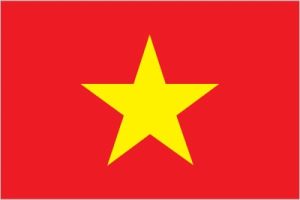 VM-flag